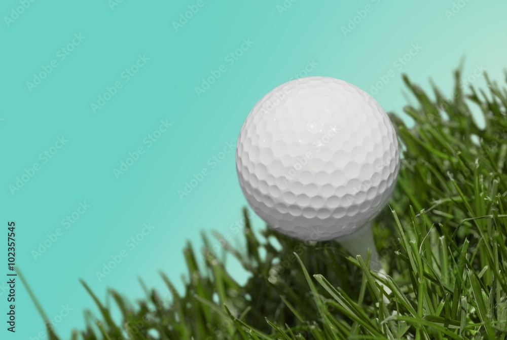 Fototapeta premium Golf.