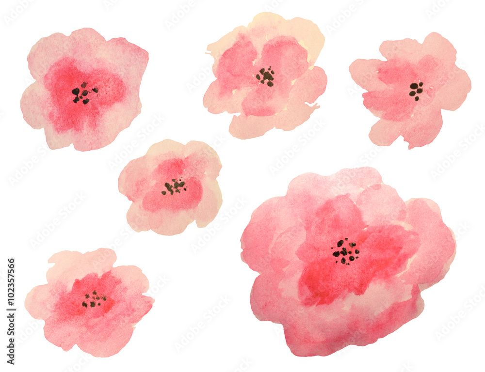 Set of beautiful watercolor flowers on white background Set of beautiful watercolor flowers on white background