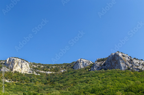 High mountains and green forest on blue clear sky