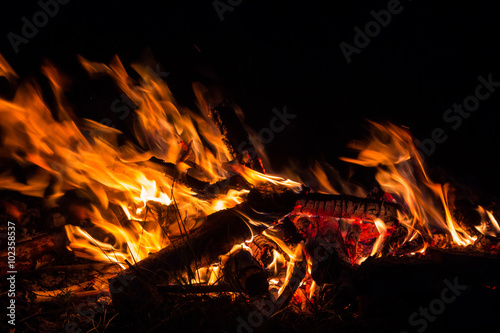 Hot orange nature bonfire flaming at the night