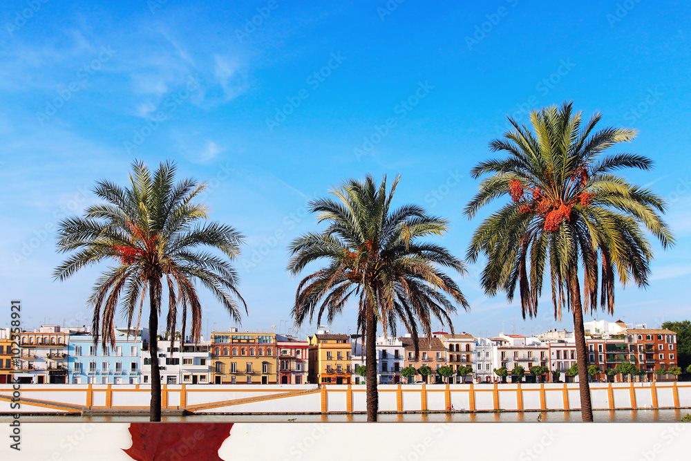 Obraz premium Sevilla city in the morning