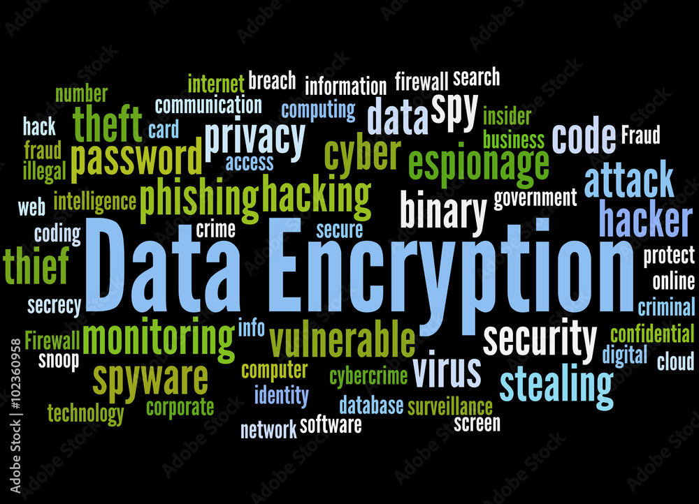 Data Encryption, word cloud concept 3