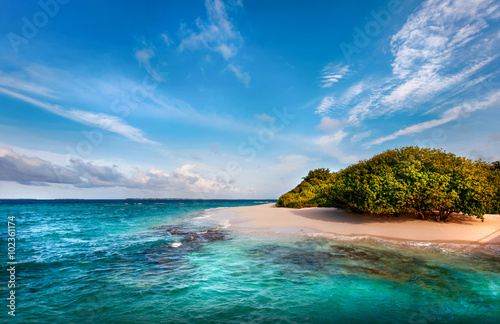 Deserted Maldivian Island