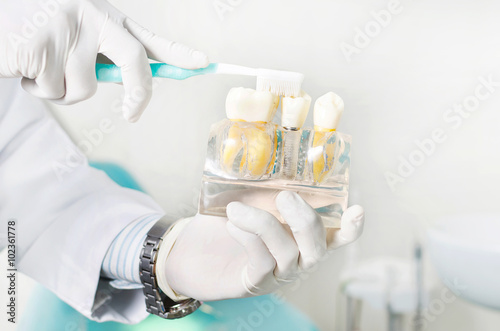 Dentist holding tooth model & brush showing proper tooth brushing technique for the purpose of patient education isolated in white background