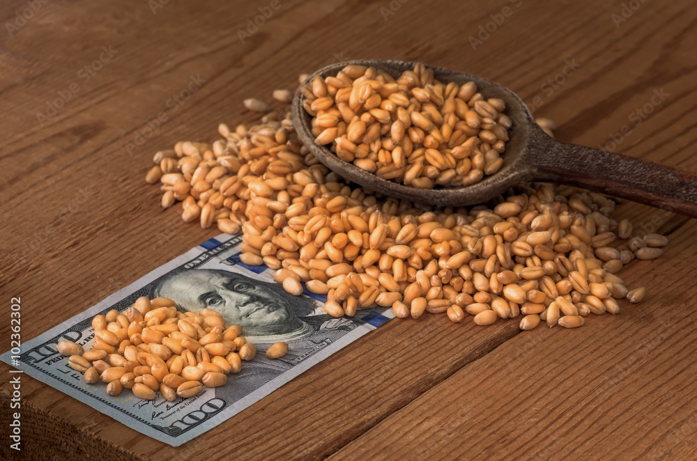 Wheat grains on dollar bills