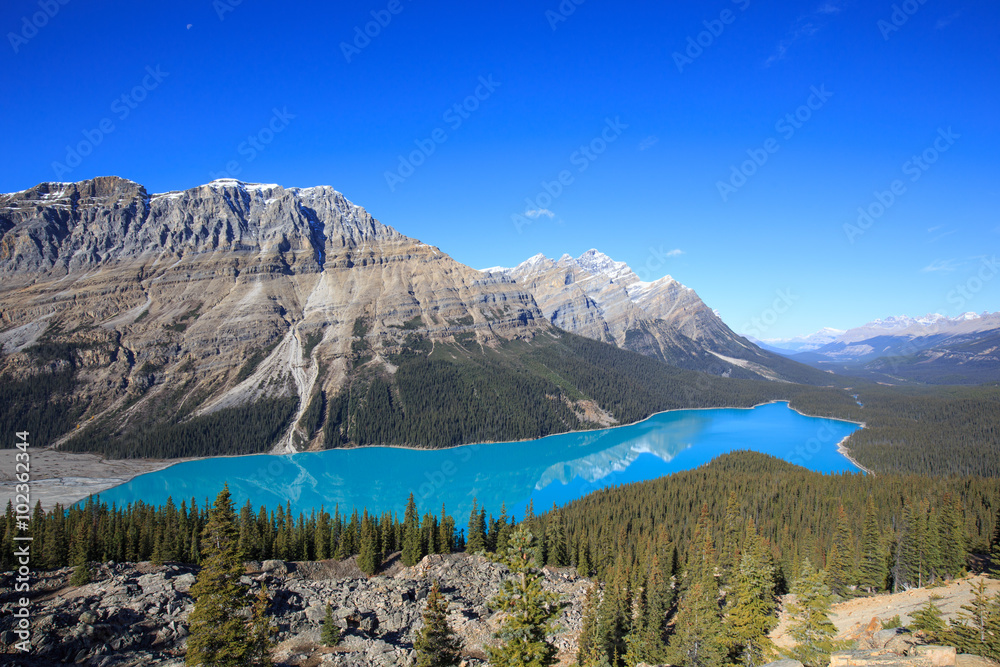 Peyto Lake