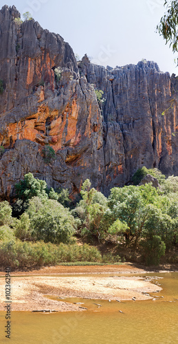 crocodiles at Windjana Gorge Western Australia photo