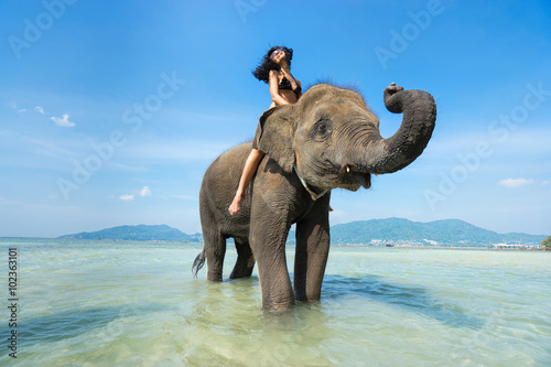 Young happy woman on elephant in the sea. Tropical vacation
