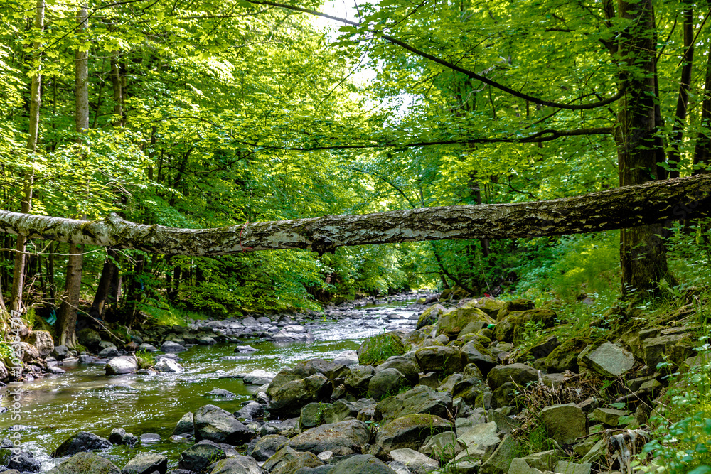 Deutsche Wildnis Deutsche Wildnis