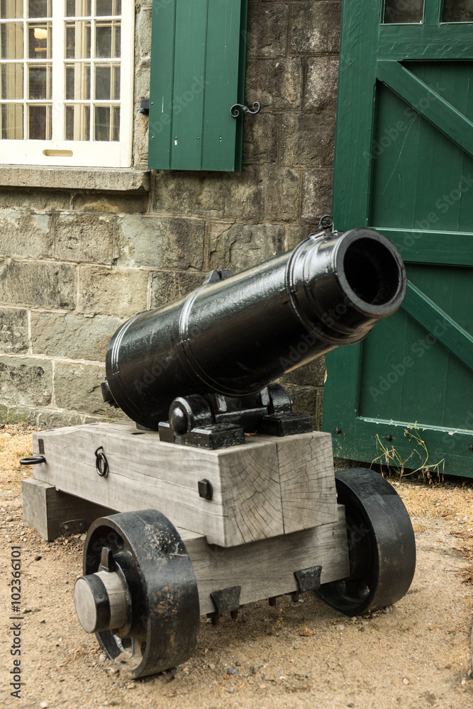 Historic Cannon