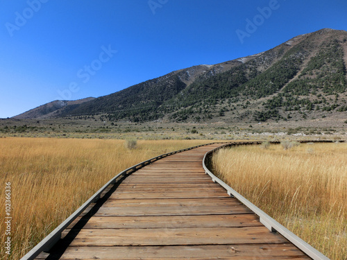 Follow wooden boardwalk path through prairie - landscape photo 