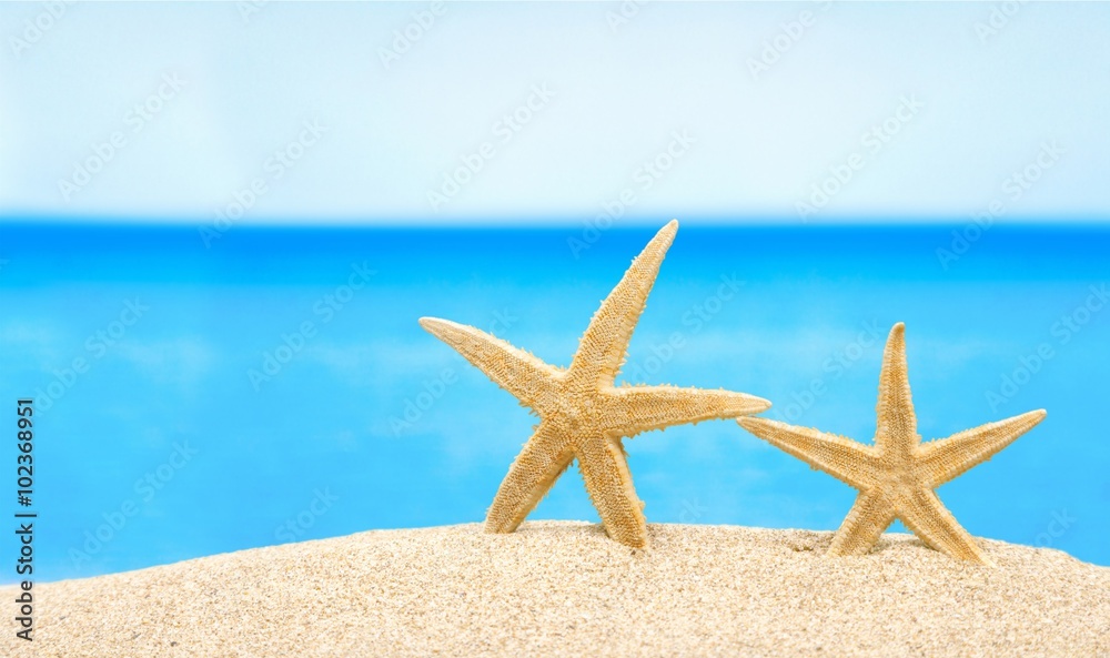 Holiday. Holiday.