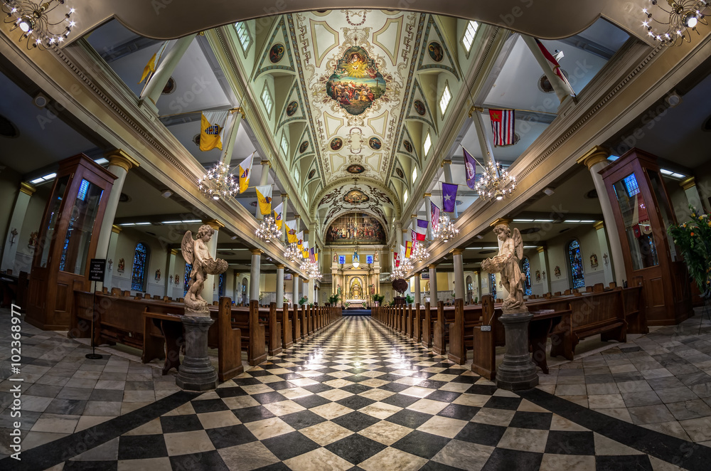 St. Louis Cathedral with Fisheye Lens 2b