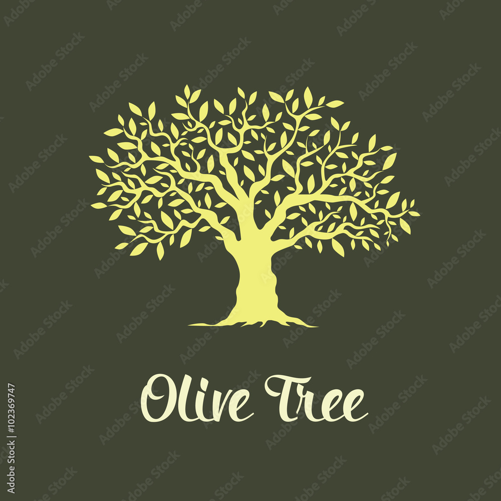 Obraz premium Beautiful magnificent olive tree isolated on green background. Premium quality logo concept vector illustration. 