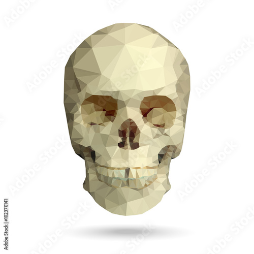 Human skull made with triangles. Vector polygonal illustration.