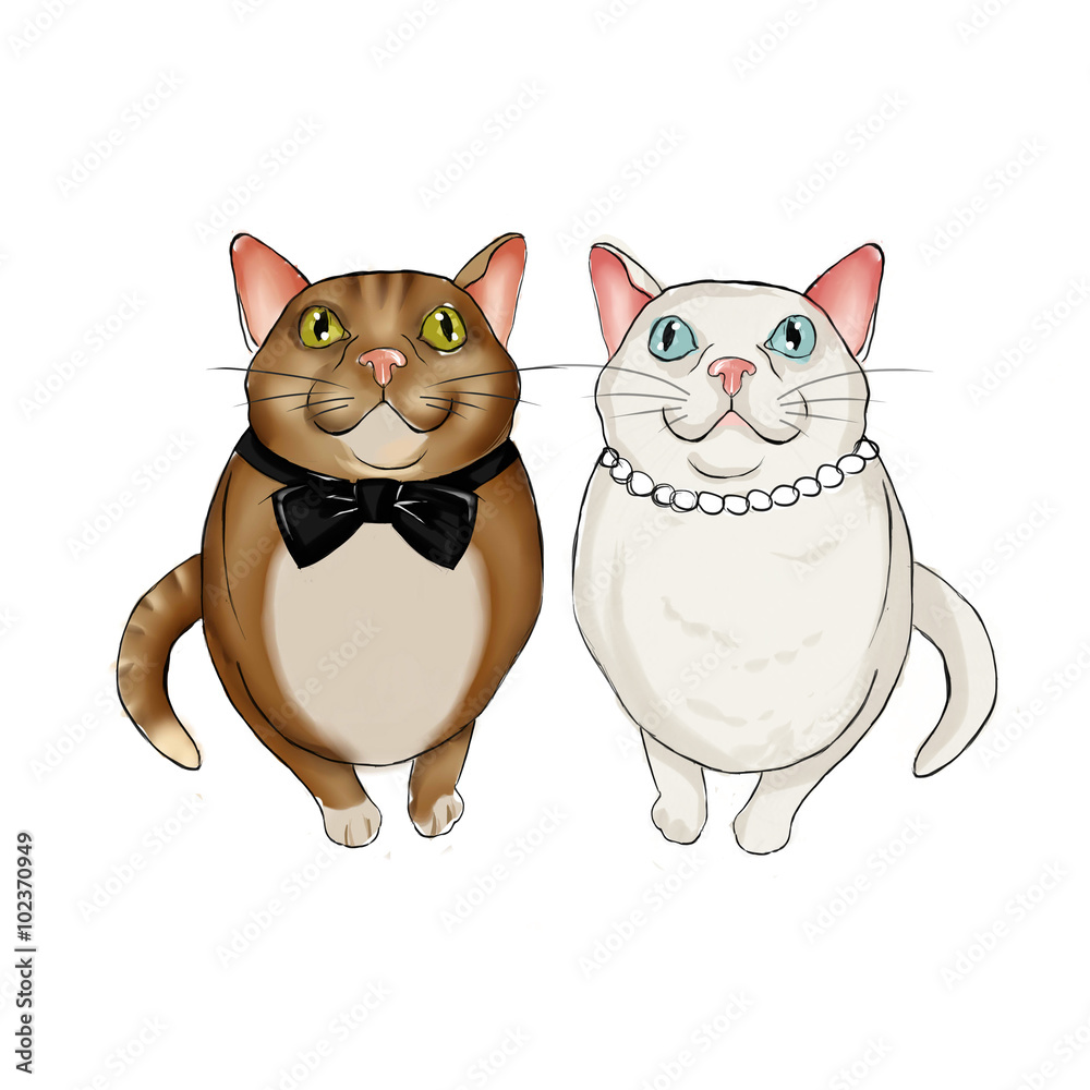 Adorable couple of felines wearing bridal accessories