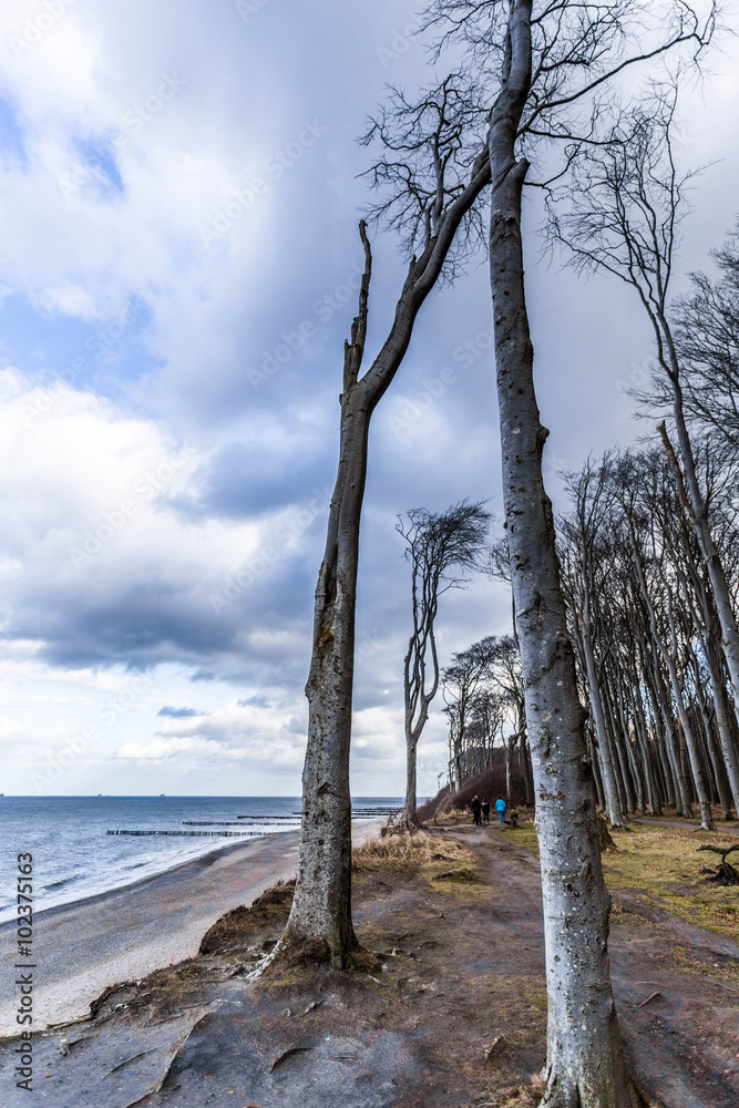 Obraz premium Ostseebad Nienhagen
