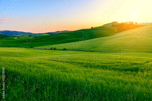 Summer in the fields of Tuscany in the sunset