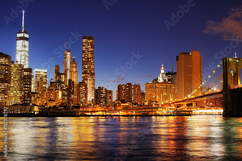 New York City skyline at night © Maria Sbytova