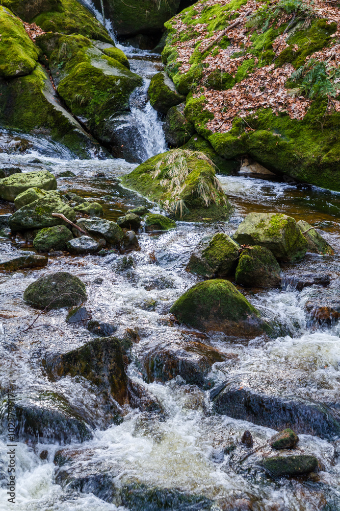 Fototapeta premium Nationalpark Harz Ilsetal