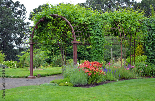 Bilde på lerret Garden trellis entrance