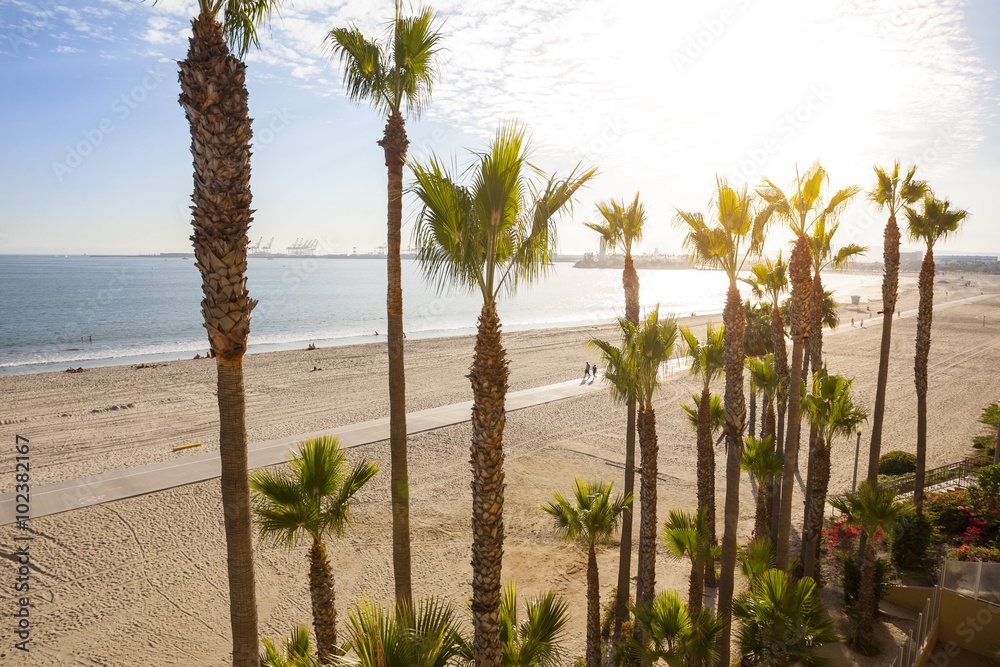 Ocean, beach promenade and palm trees in Long Beach, California Stock
