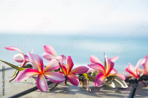 Fototapeta Naklejka Na Ścianę i Meble -  Frangipani of handmade Ray -5