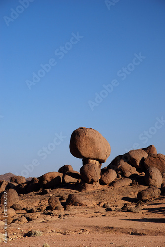 Stone Mushrum photo