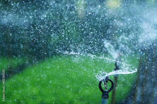 water sprinkler