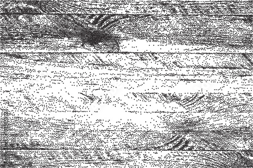 Stipple grunge wood texture VOL. 07.