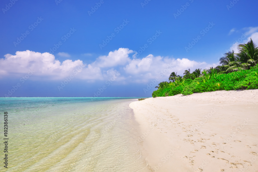 Shoreline of a tropical island in the Maldives and view of the I