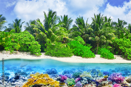 Tropikalna wyspa i podwodny świat na Malediwach. Thoddo