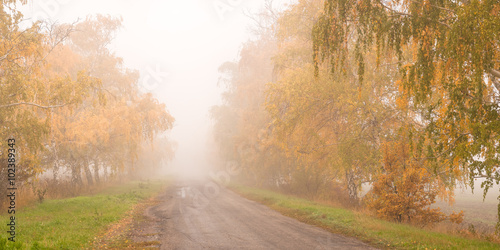 Beautiful autumn road in the fog