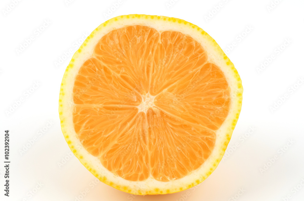orange slice orange slice