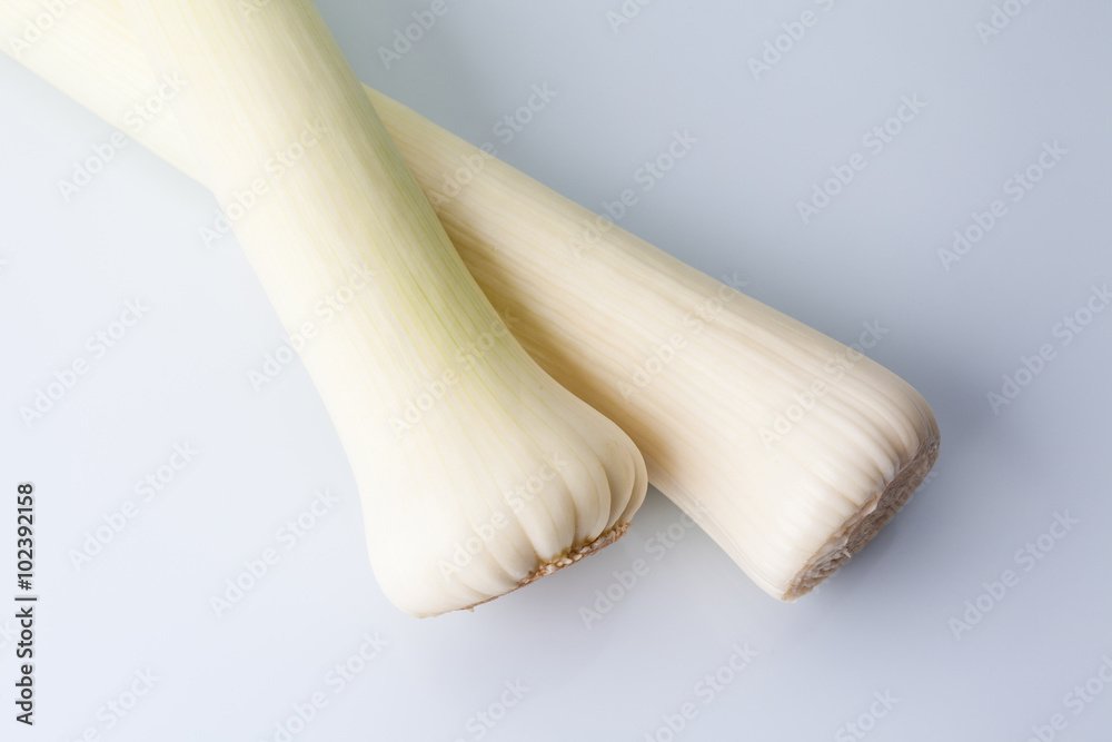 View directly from above on heads of two leeks on white background View directly from above on heads of two leeks on white background