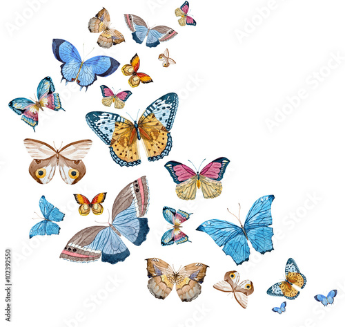 Watercolor raster butterflies