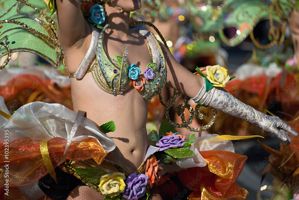  A woman in costume dancing on carnival 