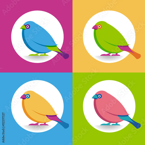 Multicolor birds on the multicolor backgrounds