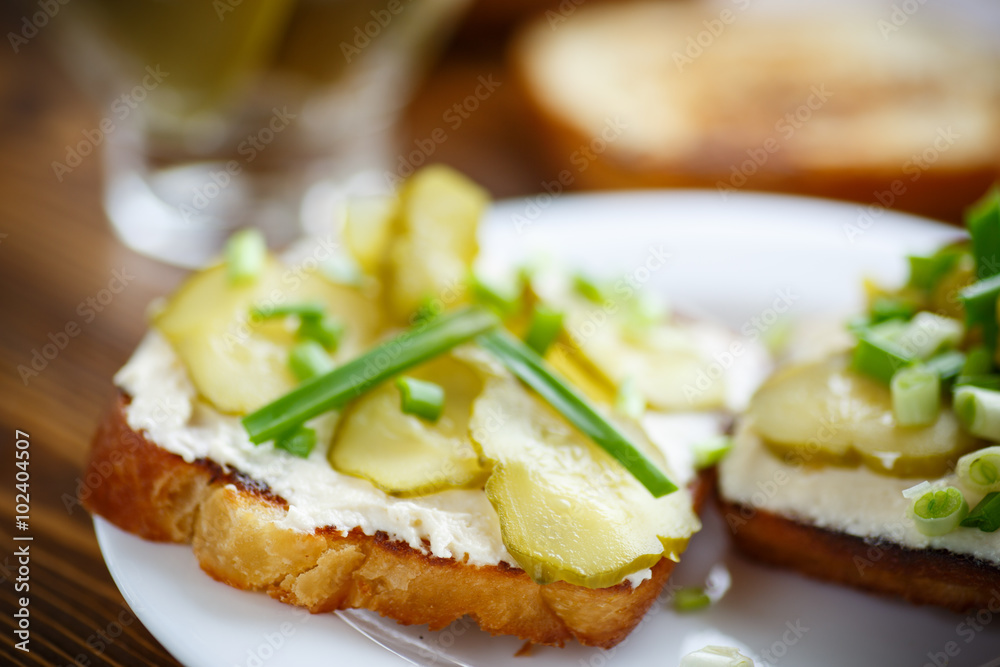 Vegetarian sandwich with cheese, pickles and herbs 