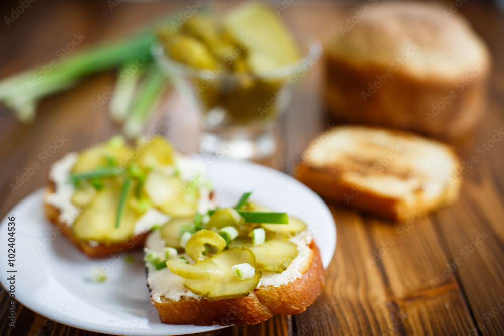 Vegetarian sandwich with cheese, pickles and herbs 