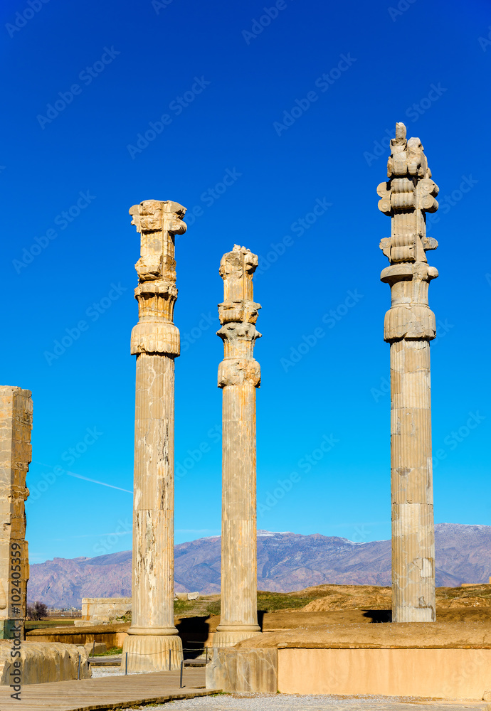 Ancient columns in the Gate of All Nations - Persepolis, Iran