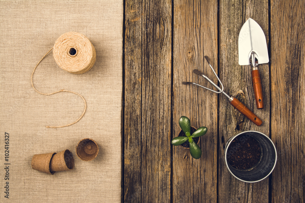 Preparing for a seasonal transplantation of plant or flower, in a gardening, vintage shed near house. Product still life image as lay flat or top view. Planting in the garden concept photograph. Preparing for a seasonal transplantation of plant or flower, in a gardening, vintage shed near house. Product still life image as lay flat or top view. Planting in the garden concept photograph.