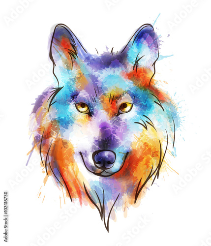 Obraz na płótnie Głowa kolorowego wilka akwarela