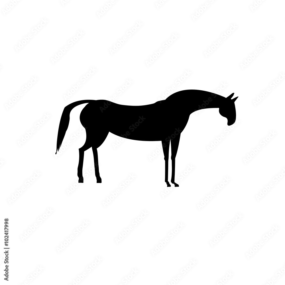 Obraz premium Black horse on white background