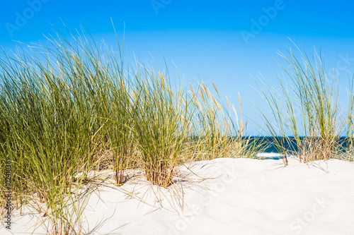 Landscape with sea view  sand dune and grass  blue sky. Leba  Baltic sea  Poland.