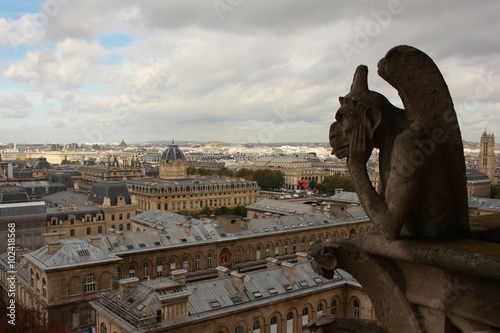  Notre Dame de Paris, France, Europe