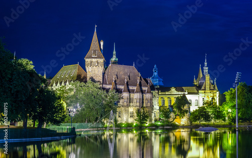 Canvas Print night view of the illuminaed vajdahunyad castle in varosliget parc in budapest