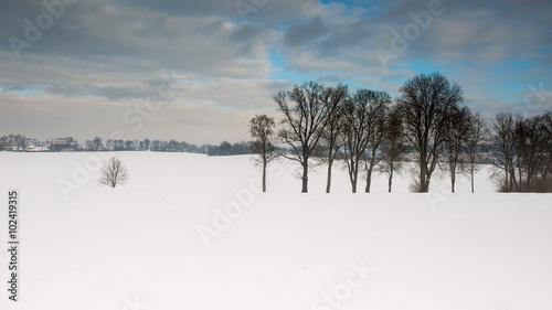 Wallpaper Mural Winter snowy field landscape Torontodigital.ca