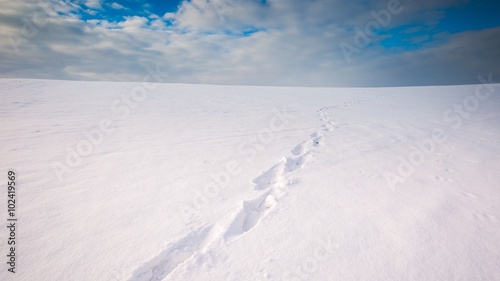 Winter snowy field landscape © milosz_g