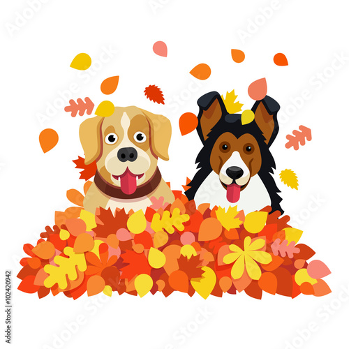 Two dogs playing in an autumn fallen leafs pile